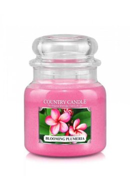 Country Candle - Blooming Plumeria - Średni słoik (453g) 2 knoty