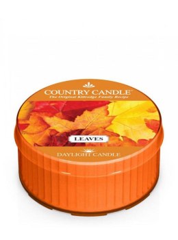 Country Candle - Leaves - Daylight (35g)