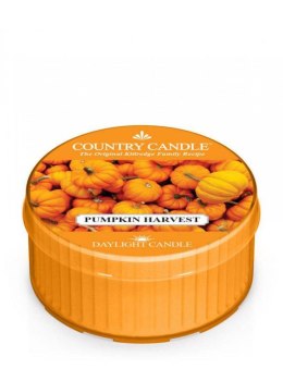 Country Candle - Pumpkin Harvest - Daylight (35g)