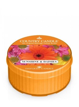 Country Candle - Sunshine & Daisies - Daylight (35g)