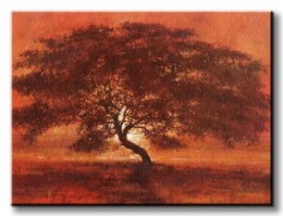 Desert Tree - Obraz na płótnie