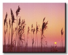 Fenland Sunrise - Obraz na płótnie
