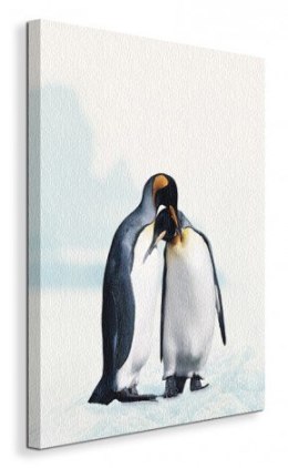 King Penguin Pingwiny - Obraz na płótnie