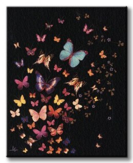Midnight Butterflies - Obraz na płótnie