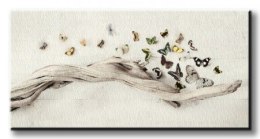 Motyle Drift of Butterflies - Obraz na płótnie