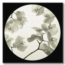 Orchid I - Obraz na płótnie