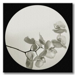 Orchid II - Obraz na płótnie