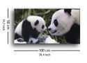 Panda Bear With Cub - Obraz na płótnie