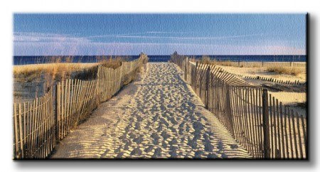 Pathway to the Beach - Obraz na płótnie