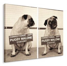 Pugsy Malone - Obraz na płótnie
