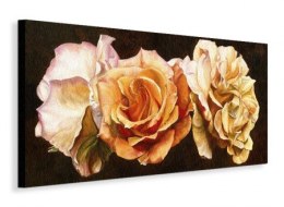 Rose Trio Róża - Obraz na płótnie