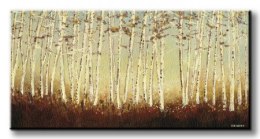 Silver Birch Trees - Obraz na płótnie