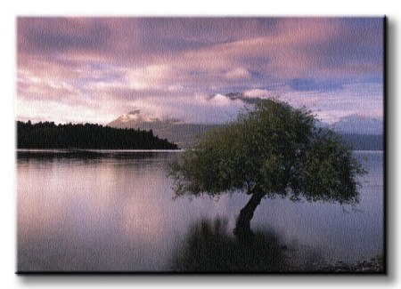 South Island, New Zealand - Obraz na płótnie