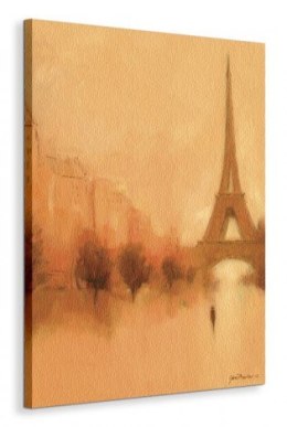 Stranger in Paris - Obraz na płótnie