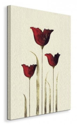 Tulips III - Obraz na płótnie