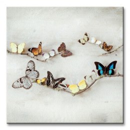 Array Of Butterflies - Motyle - Obraz na płótnie