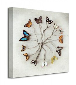 Butterfly Harmony - Motyle - Obraz na płótnie