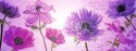 Flowers in Purple - obraz na płótnie
