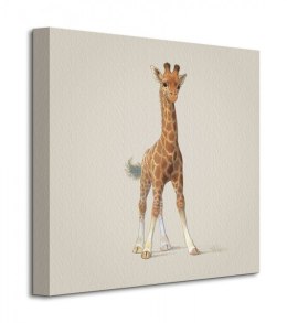 Giraffe - Obraz na płótnie