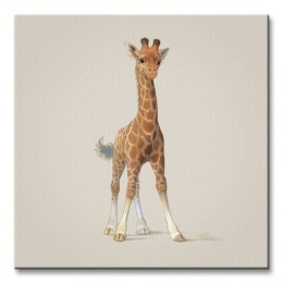 Giraffe - Obraz na płótnie