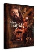 Harry Potter Hagrid - Obraz na płótnie