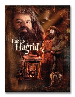 Harry Potter Hagrid - Obraz na płótnie