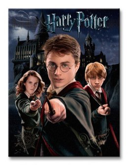 Harry Potter Harry Ron Hermione - Obraz na płótnie