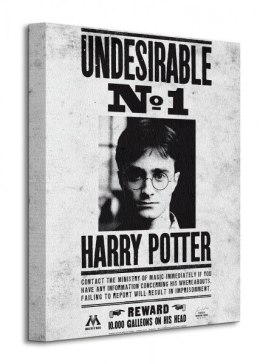 Harry Potter Undesirable No.1 - Obraz na płótnie
