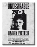 Harry Potter Undesirable No.1 - Obraz na płótnie