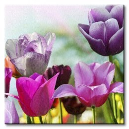 Piękne wiosenne kwiaty - Obraz na płótnie