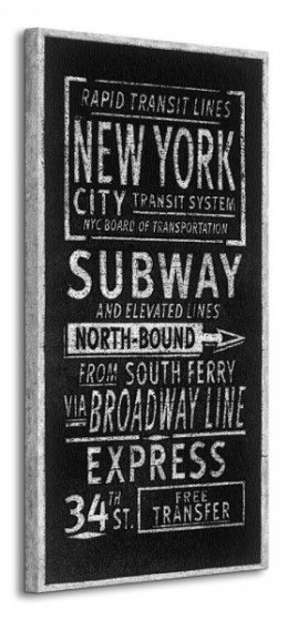 Rapid Transit Lines New York - Obraz na płótnie