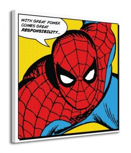 Spider-man Quote - Obraz na płótnie