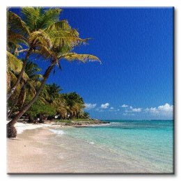 Tropikalna plaża - Obraz na płótnie