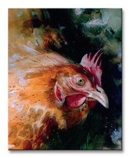 Brown Chicken - Obraz na płótnie