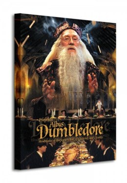Harry Potter Dumbledore - Obraz na płótnie