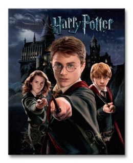 Harry Potter Harry Ron Hermione - Obraz na płótnie
