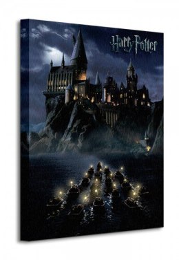 Harry Potter Hogwarts School - Obraz na płótnie