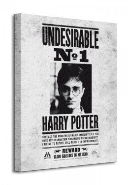 Harry Potter Undesirable No.1 - Obraz na płótnie