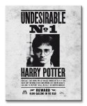 Harry Potter Undesirable No.1 - Obraz na płótnie