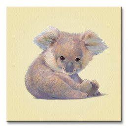 Koala - Obraz na płótnie