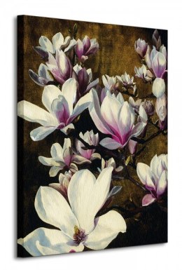 Magnolia Silk - Obraz na płótnie