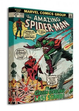 Spider-Man (Green Goblin) - Obraz na płótnie