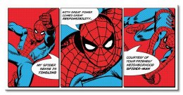 Spider-Man (Triptych) - Obraz na płótnie