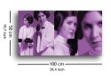 Star Wars Gwiezdne Wojny (Princess Leia Pose) - Obraz na płótnie