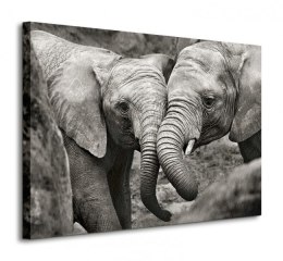 Elephants in Love - Obraz na płótnie