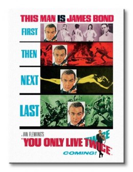 James Bond (You Only Live Twice - Teaser) - Obraz na płótnie
