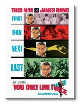 James Bond (You Only Live Twice - Teaser) - Obraz na płótnie