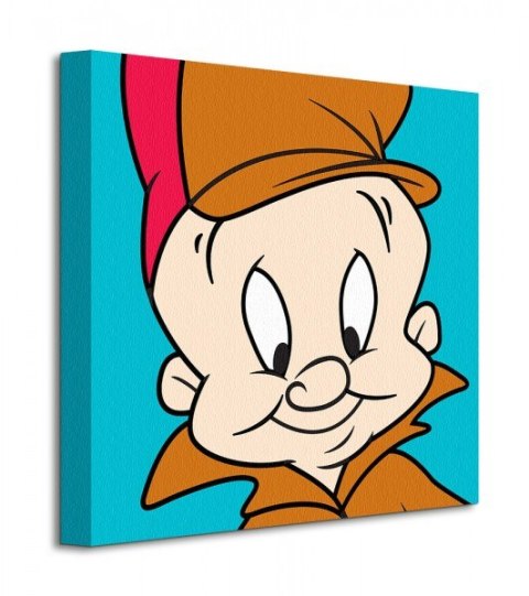 Looney Tunes (Elmer Fudd) - Obraz na płótnie