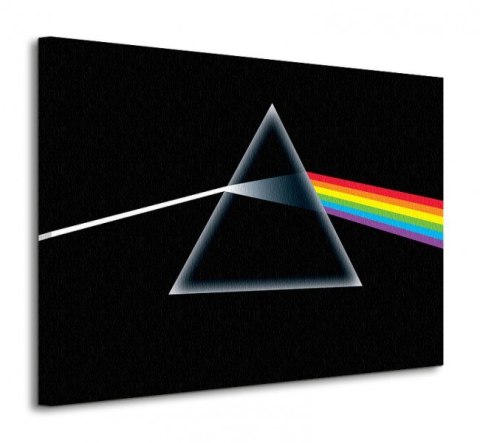 Pink FLoyd (Dark Side Of The Moon) - Obraz na płótnie