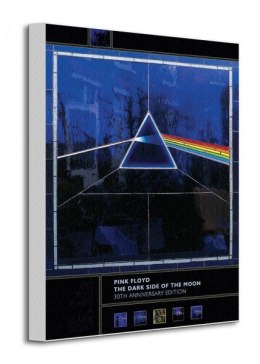 Pink Floyd (Dark Side Of The Moon, 30th Anniversary) - Obraz na płótnie